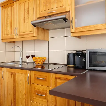 Bright With Balcony In By Renters Apartman Murzasichle
