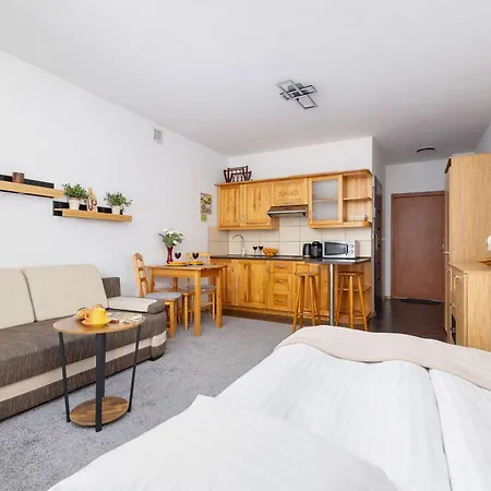 Bright With Balcony In By Renters Murzasichle