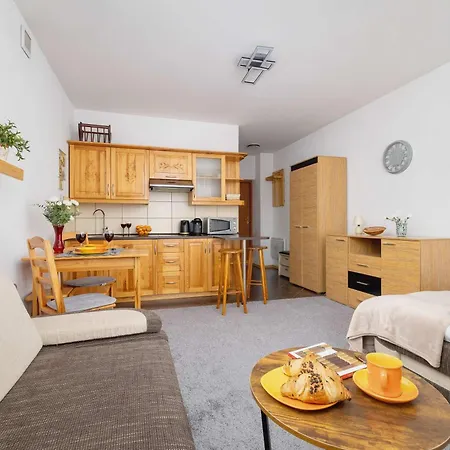 Bright With Balcony In By Renters * Murzasichle