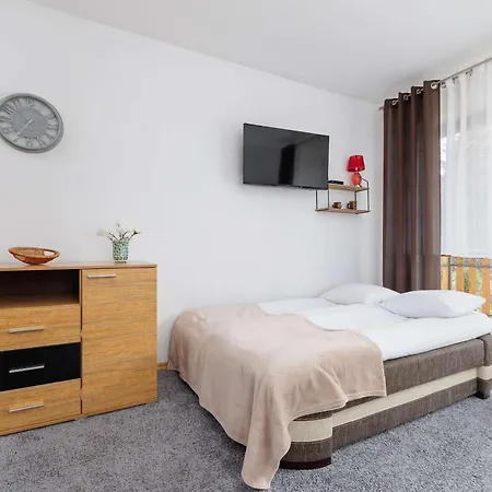 Bright With Balcony In By Renters Murzasichle